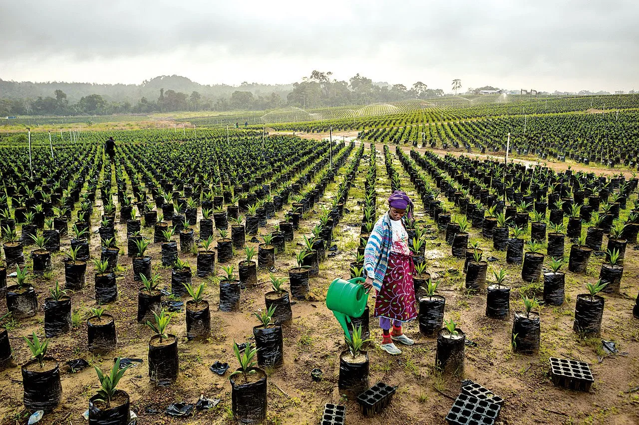 Senegal and Ukraine sign a cooperation agreement in the agricultural sector