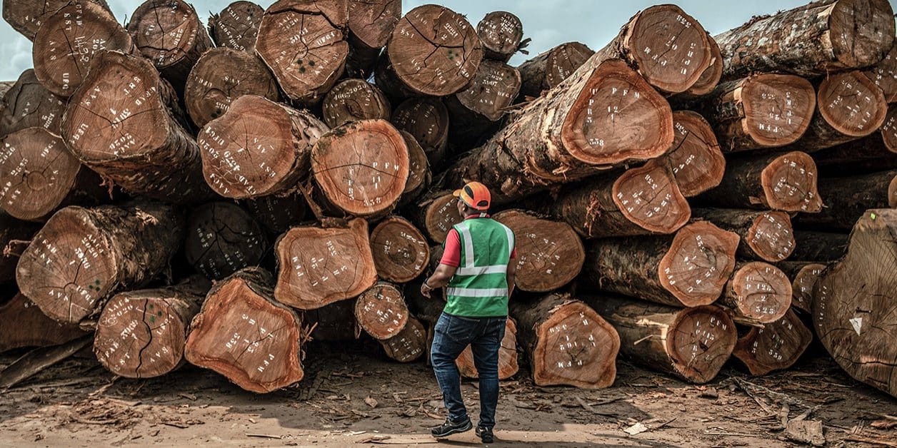 Bois du Gabon