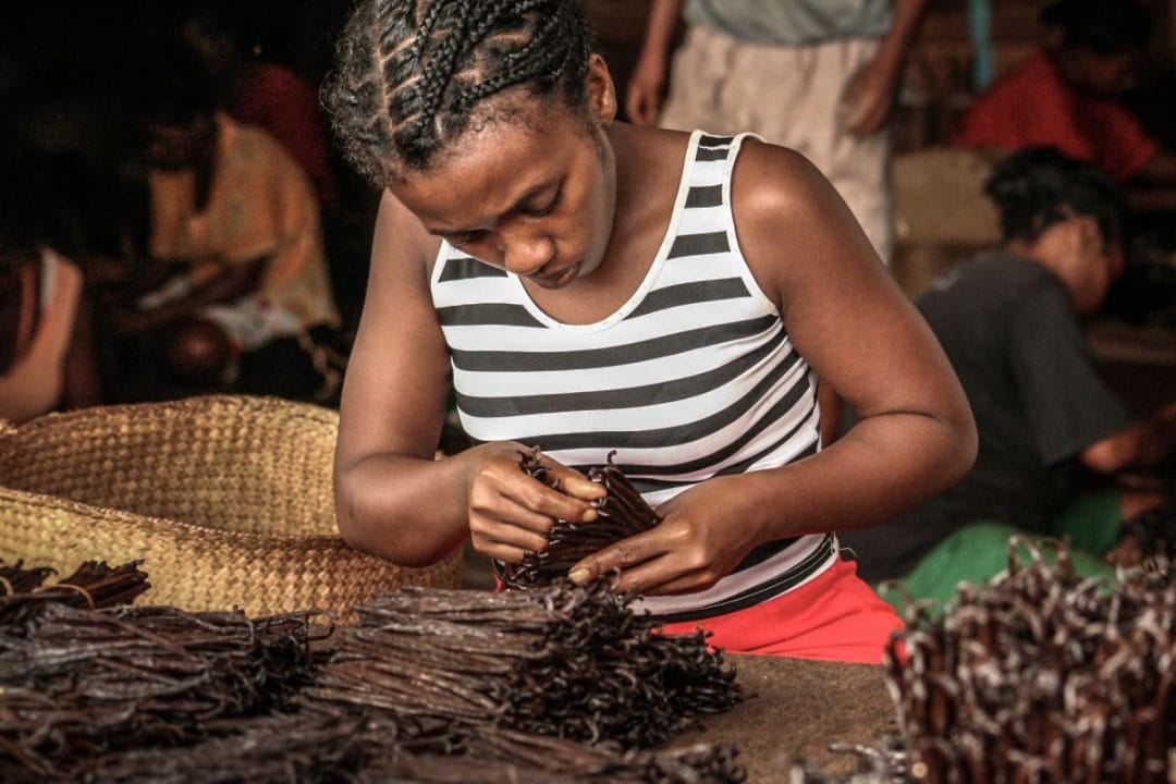 Why Madagascar Vanilla is Considered a Golding opportunity