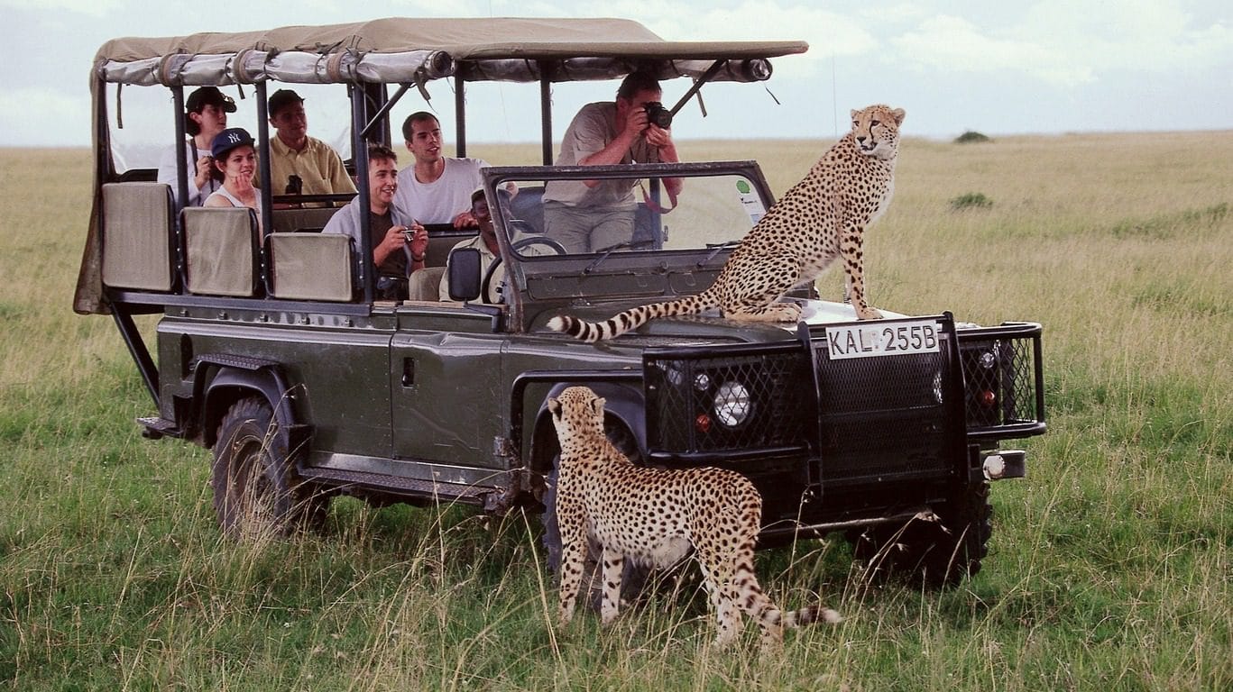 Tourism in Kenya