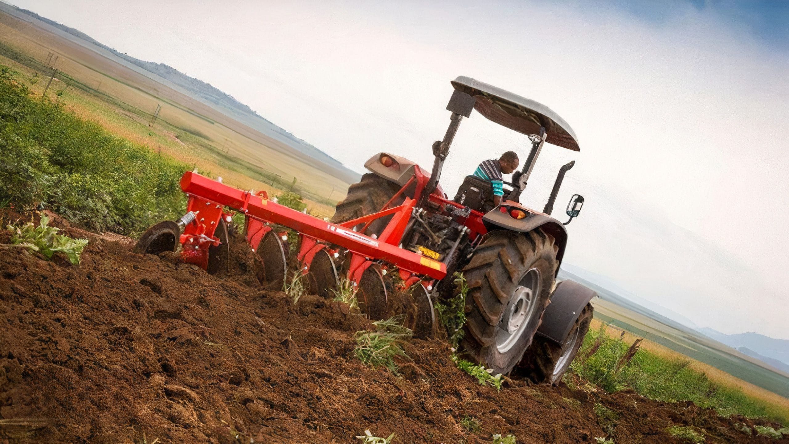 Agriculture - Togo