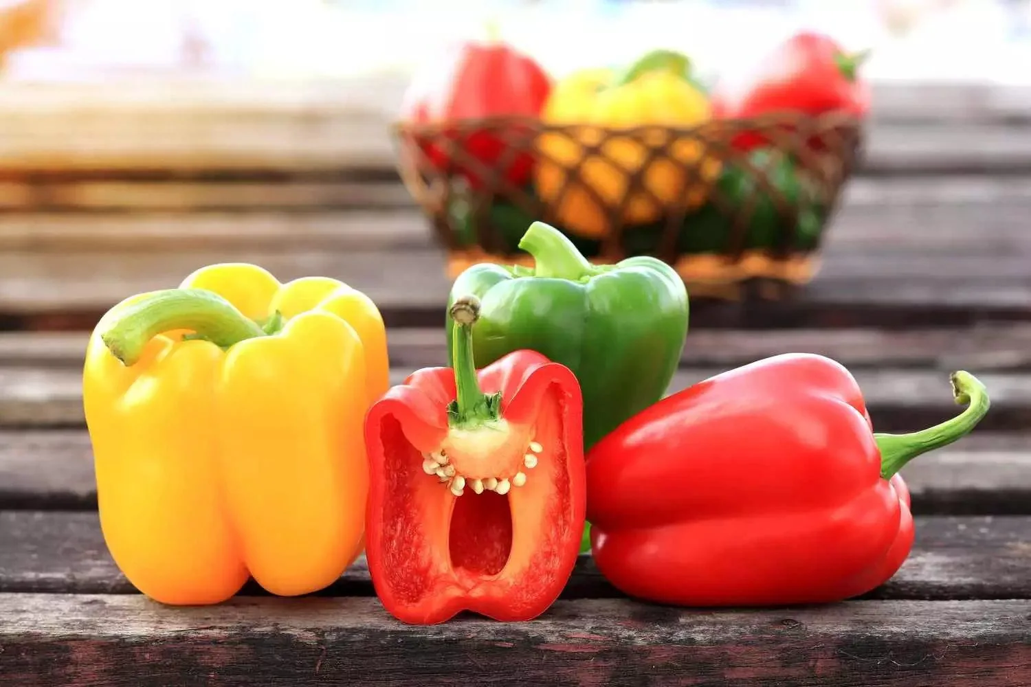 Morocco's Bell Peppers Exports